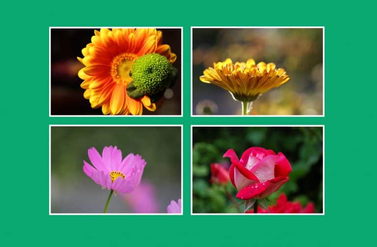 39 Gallery Code Snippets Codehim 39 Gallery Code Snippets Codehim