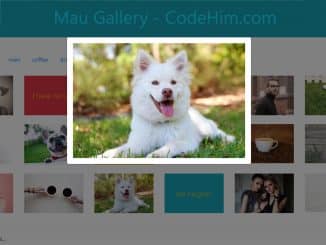 jQuery Portfolio Gallery with Categories Filter