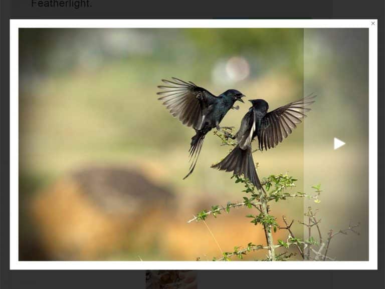 Responsive Lightbox Slider with jQuery Featherlight Plugin — CodeHim