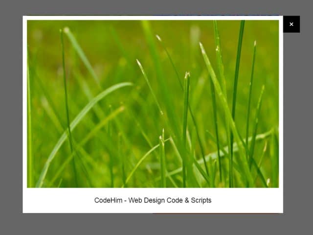 jQuery Lightbox with Caption Text and Image