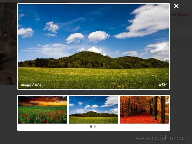 jQuery Lightbox Gallery with Thumbnails - mBox