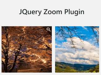Simple jQuery Zoom Image on Hover