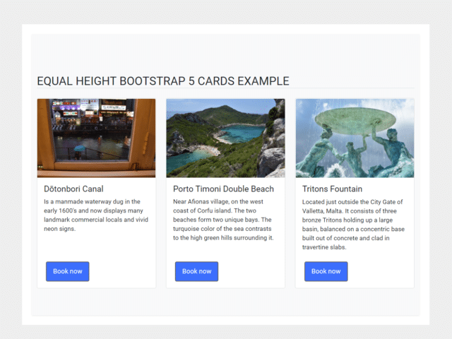 Bootstrap 5 Equal Height Cards