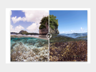 Before After Image Slider in Vanilla JavaScript