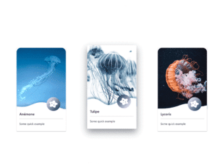 Bootstrap 5 Card with Shadow on Hover