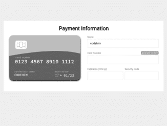 Credit Cart Checkout Form in Vanilla JavaScript