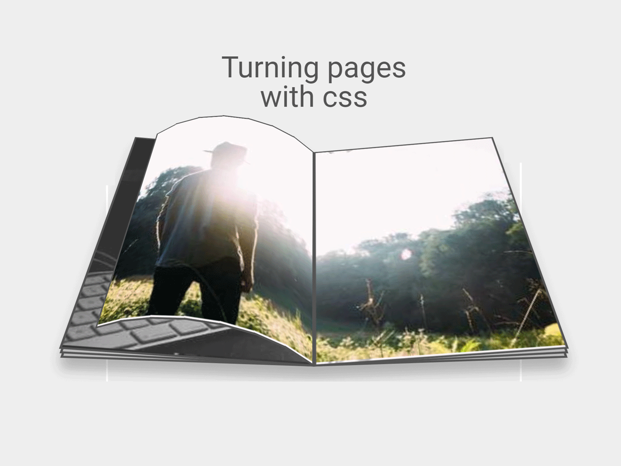 HTML Code for Flipping Pages — CodeHim