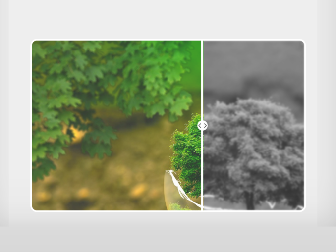 Img Comparison Slider using Vanilla JS — CodeHim