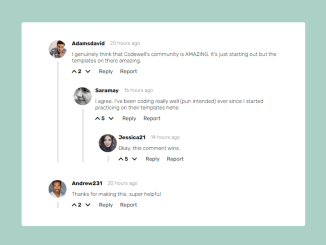 Blog Comment Section Design