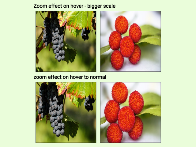 html zoom image in div