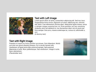 Image and Text Side By Side HTML CSS