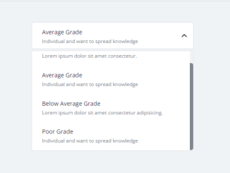 JavaScript Custom Select Dropdown with Description