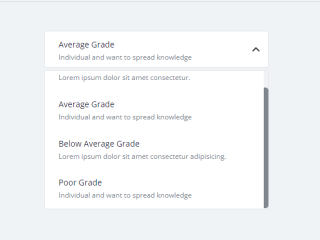 JavaScript Custom Select Dropdown with Description