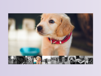 JavaScript Image Carousel with Thumbnails