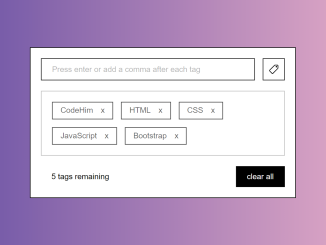 JavaScript Tags Input with Comma Separated