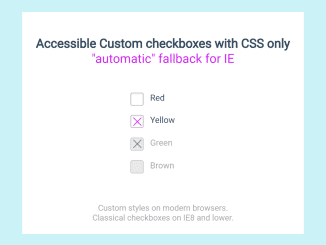 Pure CSS Custom Checkbox Style