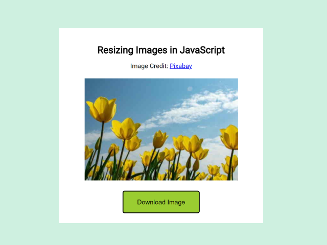 Resize Image JavaScript Using Canvas