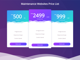 Pricing Table Design HTML CSS