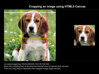 Crop Image in Canvas Using JavaScript