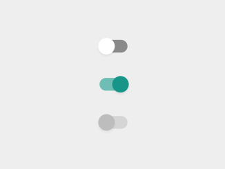 Material Design Toggle Button Using CSS