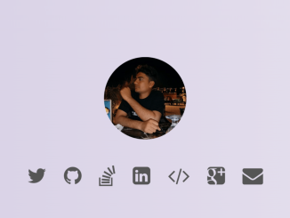 Social Icons with Circular Profile Pic in CSS