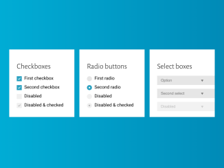Custom Styles for Radio Checkbox and Select Box
